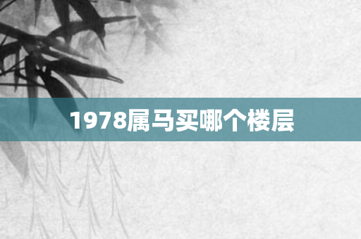 1978属马买哪个楼层