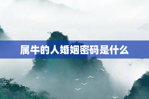 属牛的人婚姻密码是什么