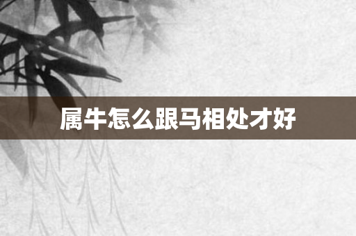 属牛怎么跟马相处才好