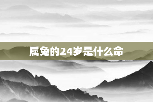 属兔的24岁是什么命