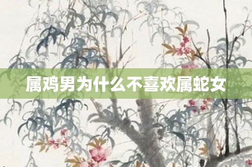 属鸡男为什么不喜欢属蛇女