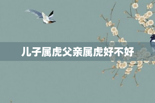 儿子属虎父亲属虎好不好