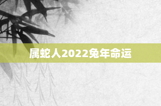 属蛇人2022兔年命运
