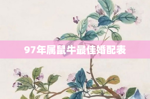 97年属鼠牛更佳婚配表