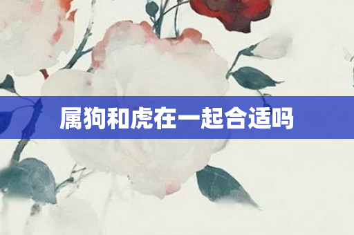 属狗和虎在一起合适吗