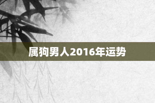 属狗男人2016年运势