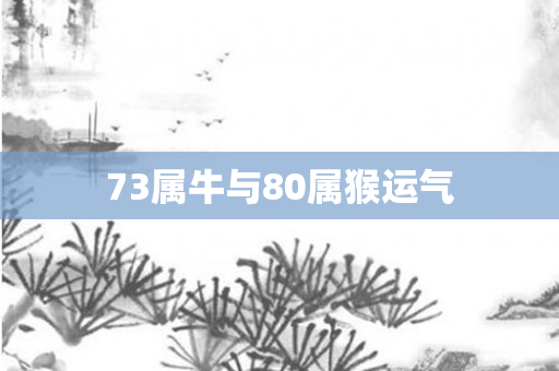 73属牛与80属猴运气