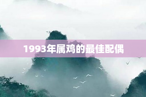 1993年属鸡的更佳配偶