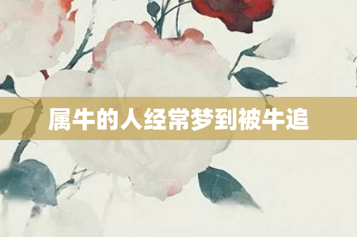 属牛的人经常梦到被牛追