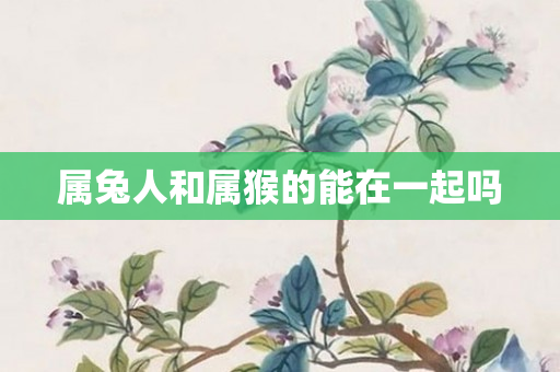 属兔人和属猴的能在一起吗