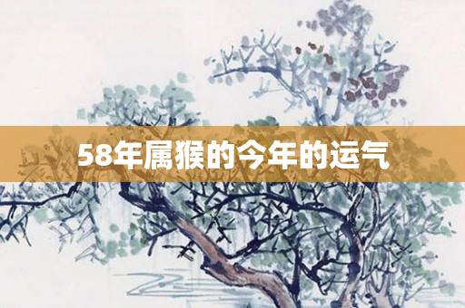 58年属猴的今年的运气