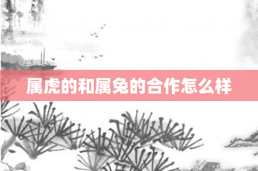 属虎的和属兔的合作怎么样