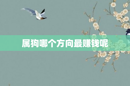 属狗哪个方向更赚钱呢