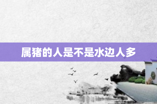 属猪的人是不是水边人多
