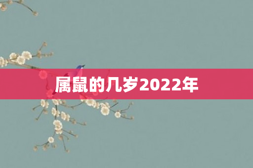 属鼠的几岁2022年