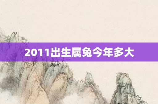 2011出生属兔今年多大
