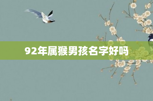 92年属猴男孩名字好吗