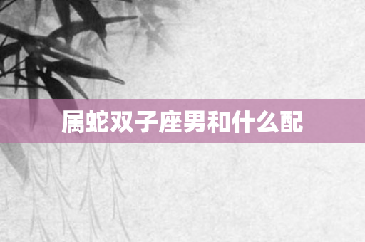 属蛇双子座男和什么配