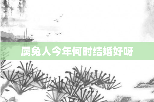 属兔人今年何时结婚好呀