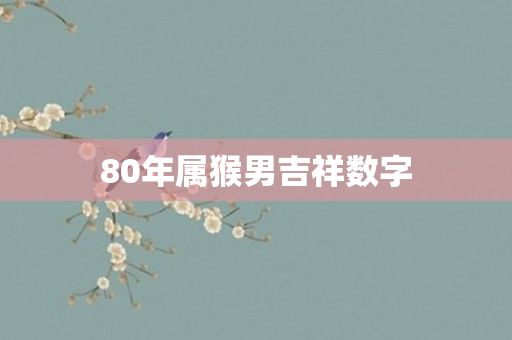 80年属猴男吉祥数字