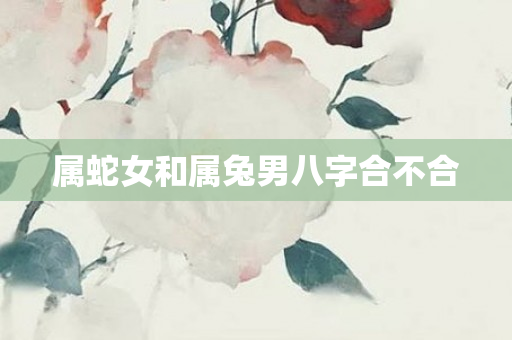 属蛇女和属兔男八字合不合