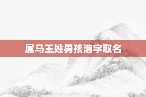 属马王姓男孩浩字取名