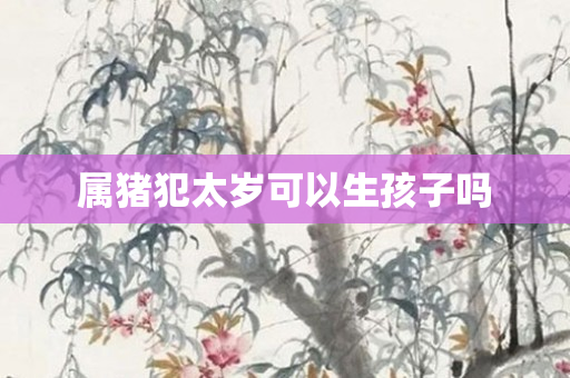 属猪犯太岁可以生孩子吗