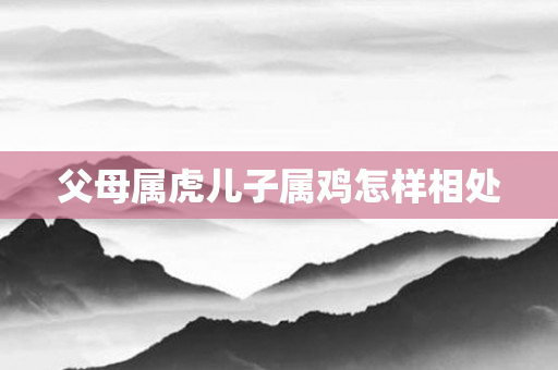 父母属虎儿子属鸡怎样相处