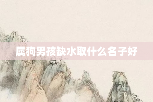 属狗男孩缺水取什么名子好