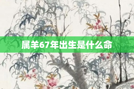 属羊67年出生是什么命