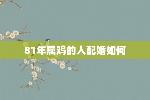 81年属鸡的人配婚如何