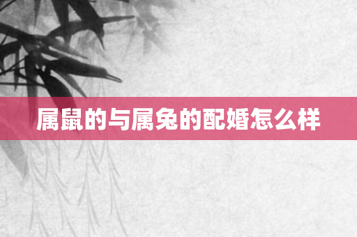 属鼠的与属兔的配婚怎么样