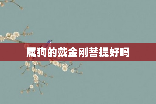 属狗的戴金刚菩提好吗