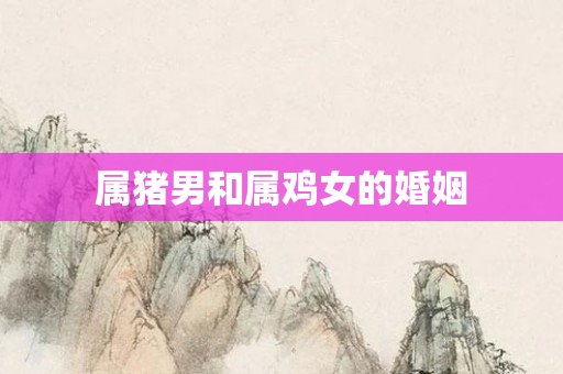 属猪男和属鸡女的婚姻
