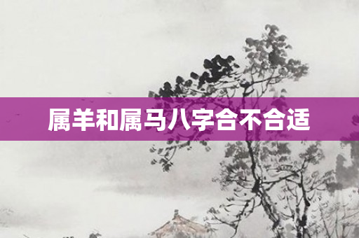 属羊和属马八字合不合适