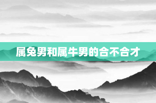 属兔男和属牛男的合不合才