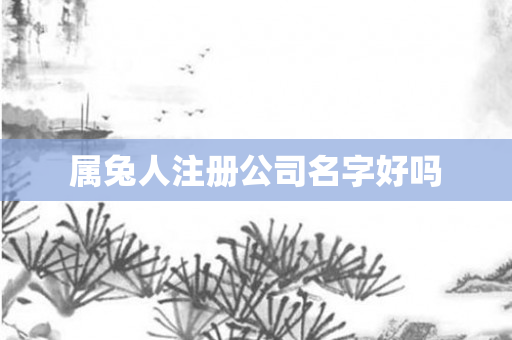 属兔人注册公司名字好吗