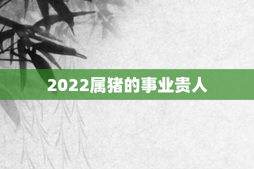 2022属猪的事业贵人