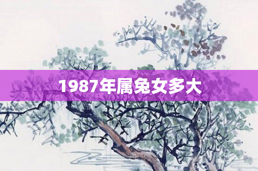 1987年属兔女多大