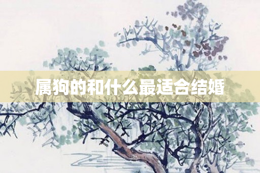 属狗的和什么最适合结婚