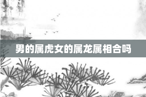 男的属虎女的属龙属相合吗