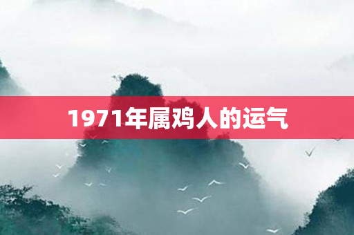 1971年属鸡人的运气