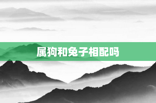 属狗和兔子相配吗
