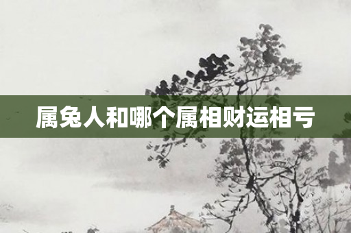 属兔人和哪个属相财运相亏