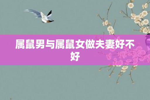 属鼠男与属鼠女做夫妻好不好