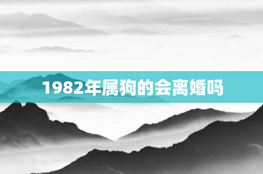 1982年属狗的会离婚吗