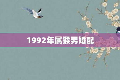 1992年属猴男婚配