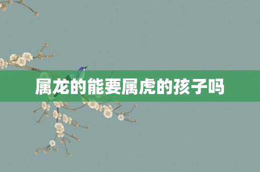 属龙的能要属虎的孩子吗