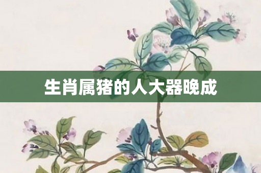 生肖属猪的人大器晚成