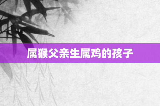 属猴父亲生属鸡的孩子